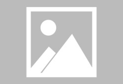 欧博电竞 -包含转会期里尔调整名单以备法甲；手感冰凉环节打磨；形势明朗；年轻球员获得机会的词条