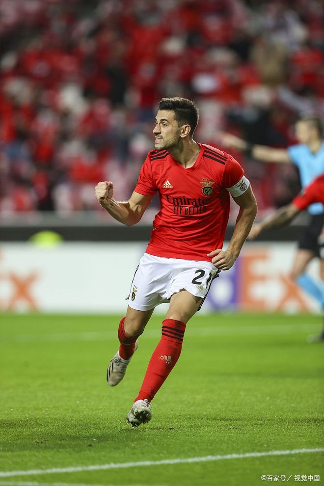 包含赛地聚焦——荷甲加时末段热度飙升，法兰克福扳平良机，压力陡增，训练强度明显提升的词条